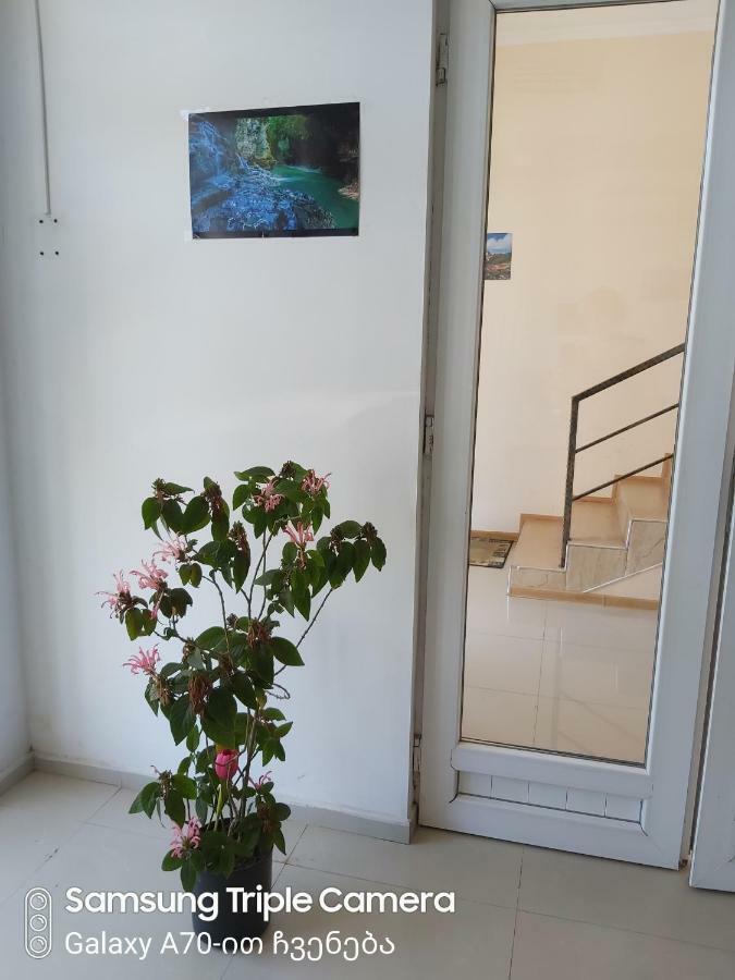 Martvili Newhotel Exterior photo